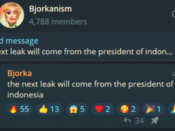 Bjorka Targetkan Presiden Jokowi